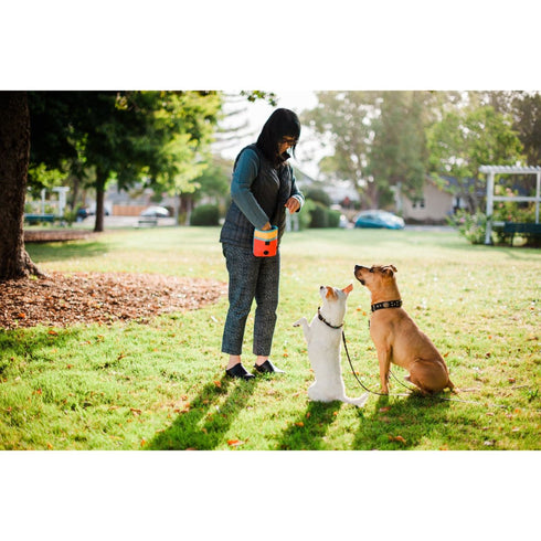 P.L.A.Y. Deluxe Training Pouch Sunrise Poudre Pet & Feed Supply 3