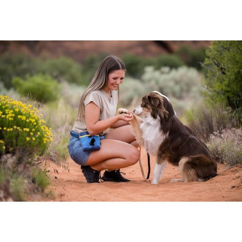 P.L.A.Y. Deluxe Training Pouch River Poudre Pet & Feed Supply 3