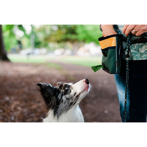 P.L.A.Y. Deluxe Training Pouch Moss Poudre Pet & Feed Supply 3