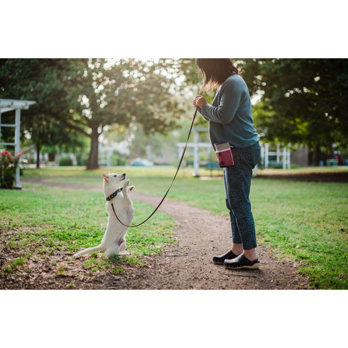 P.L.A.Y. Deluxe Training Pouch Wild Flower Poudre Pet & Feed Supply 2