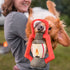 P.L.A.Y. Camp Corbin Lantern Dog Toy