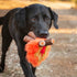 P.L.A.Y. Camp Corbin Fire Dog Toy