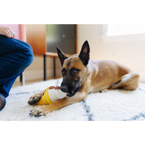 P.L.A.Y. Snack Attack Swirls n' Slobbers Soft Serve Dog Toy Poudre Pet & Feed Supply 3