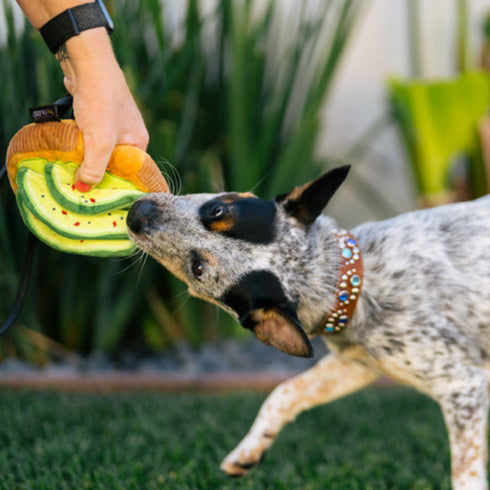 P.L.A.Y. Barking Brunch Avocado Toast Dog Toy