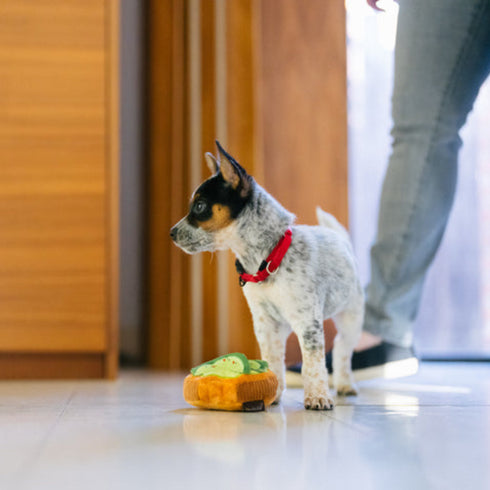 P.L.A.Y. Barking Brunch Avocado Toast Dog Toy