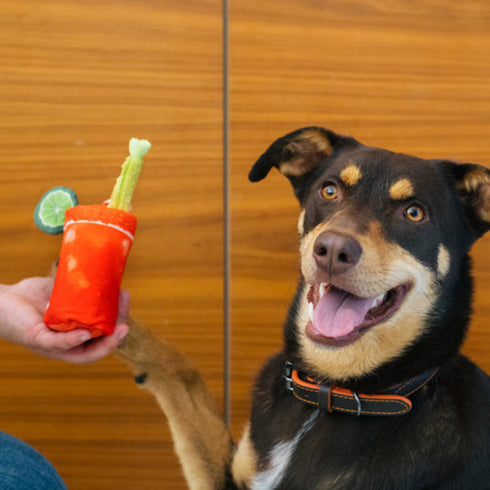 P.L.A.Y. Barking Brunch Bloody Mary Dog Toy