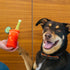 P.L.A.Y. Barking Brunch Bloody Mary Dog Toy