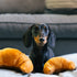 P.L.A.Y. Barking Brunch Croissant Dog Toy