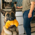 P.L.A.Y. Barking Brunch Croissant Dog Toy
