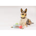 P.L.A.Y. Pup Cup Cafe Mutt-a-rons Dog Toy Poudre Pet & Feed Supply 2