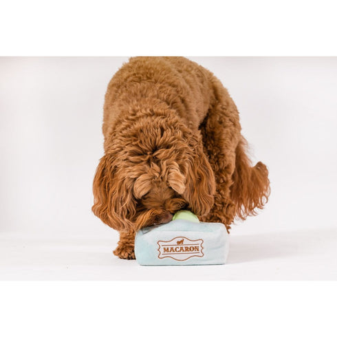 P.L.A.Y. Pup Cup Cafe Mutt-a-rons Dog Toy Poudre Pet & Feed Supply 4