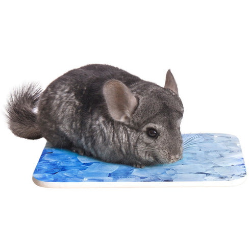 Ware Chill Stone Ice Cube Poudre Pet & Feed Supply 4