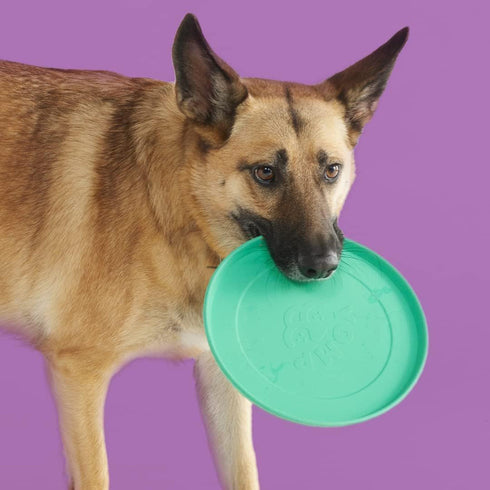 Yomp Fetch Flyer Silicone Dog Toy poudrefeed.com 3
