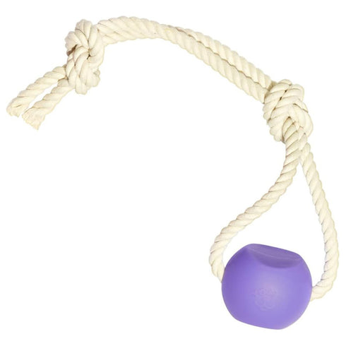 Yomp Ball Rope Silicone Dog Toy poudrefeed.com