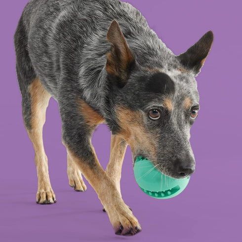 Yomp Snackin’ Ball Silicone Dog Toy poudrefeed.com 3