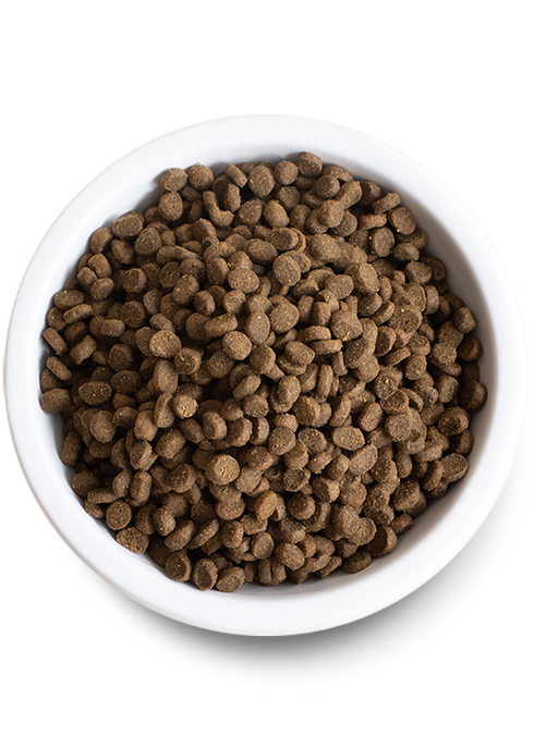Open Farm Kitten Grain-Free Dry Cat Food 4lb - Poudre Pet and Feed Supply