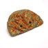 Oxbow Enriched Life Timothy Orange Slice - Poudre Pet and Feed Supply