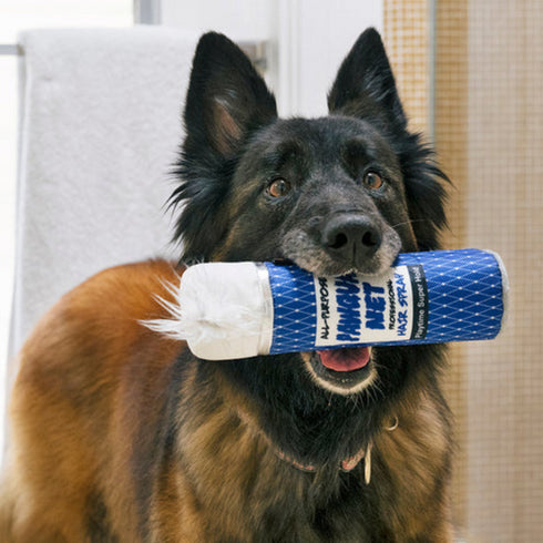 P.L.A.Y. 80's Classic Pawqua Net Dog Toy