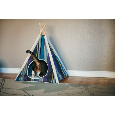 P.L.A.Y. Horizon Cozy Cove Lake Poudre Pet & Feed Supply 2