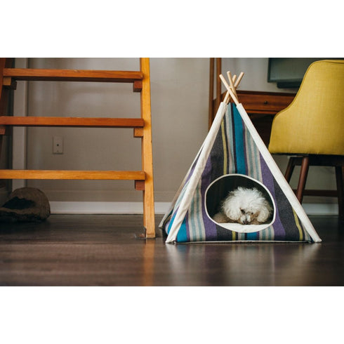 P.L.A.Y. Horizon Cozy Cove Lake Poudre Pet & Feed Supply 3