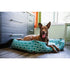 P.L.A.Y. Moroccan Lounge Bed Teal Large Poudre Pet & Feed Supply 3