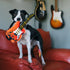 P.L.A.Y. 90s Classics Rock'n Rollover Dog Toy