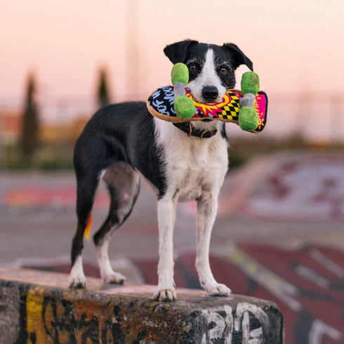 P.L.A.Y. 90's Classics Kickflippin' Dog Toy