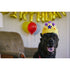 P.L.A.Y. Party Time Canine Crown Dog Toy poudrefeed.com 3