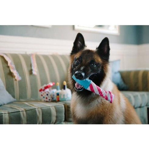 P.L.A.Y. Party Time Raise The Woof Horn Dog Toy poudrefeed.com 3