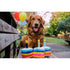 P.L.A.Y. Party Time Bone-Appetit Cake Dog Toy poudrefeed.com 3