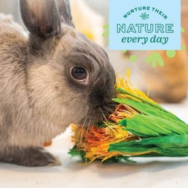 Oxbow Enriched Life Celebration Bouquet - Poudre Pet and Feed Supply