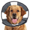 ZenPet ZenCone XL 18-23" Soft Recovery Collar poudrefeed.com