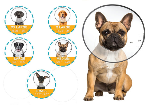 ZenPet E-Collar Clear Large poudrefeed.com 2