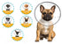 ZenPet E-Collar Clear Large poudrefeed.com 2
