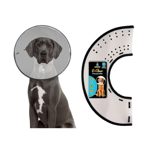 ZenPet E-Collar Clear XLarge Poudre Pet & Feed Supply