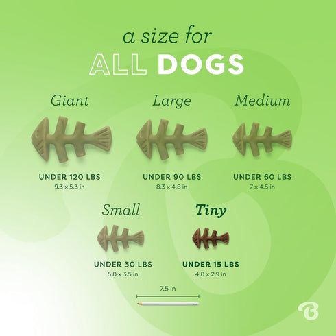 Benebone Tiny 2-Pack Fishbone Jack Salmon Dog Toys 2Pk poudrefeed.com 3