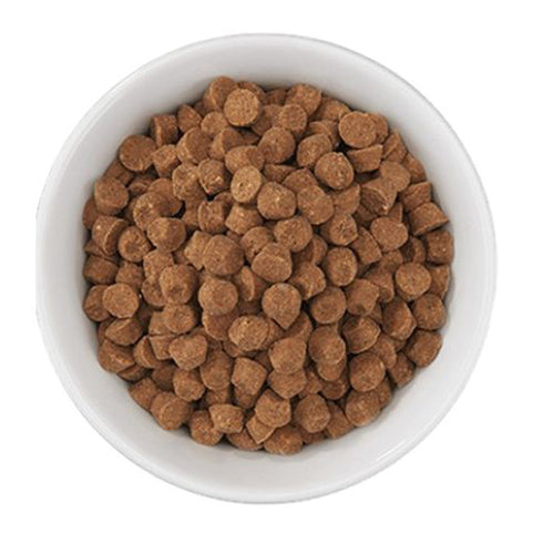 Tiki Cat Born Carnivore Silver Senior Health Chicken & Herring Dry Cat Food 2.8lb - Poudre Pet and Feed Supply