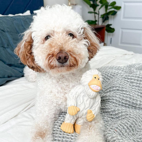 Tall Tails Yeti Latex Squeaker Dog Toy 7" Poudre Pet & Feed Supply 4