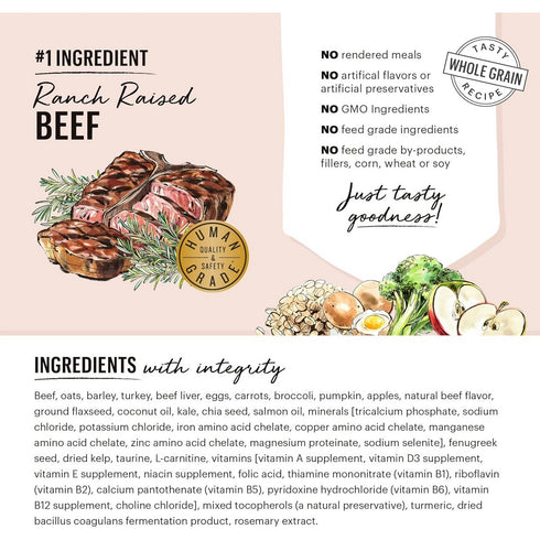 The Honest Kitchen Clusters Whole Grain Beef Oats Dry Dog Food 5lb - Poudre Pet and Feed Supply