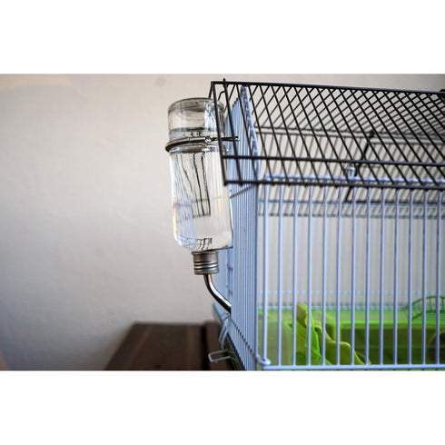 Oxbow Enriched Life Chew Proof Glass Water Bottle Small 8oz - Poudre Pet and Feed Supply