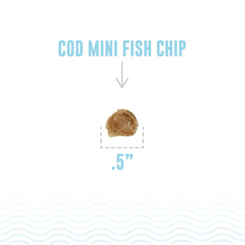 Icelandic+ Cod Mini Fish Chips Treats For Training & Small Dogs 9oz poudrefeed.com