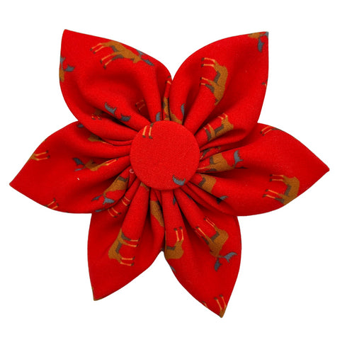 Huxley & Kent Moose Pinwheel for Dogs & Cats 4" - Poudre Pet and Feed Supply