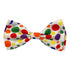 Huxley & Kent Happy Barkday Bow Tie for Dogs & Cats 5” - Poudre Pet and Feed Supply