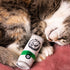 Huxley & Kent Kitty Klaw Licks & Lime Cat Toy poudrefeed.com 3