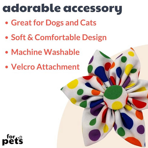 Huxley & Kent Happy Barkday Pinwheel for Dogs & Cats 3.5" - Poudre Pet and Feed Supply