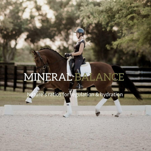 VSI Redmond Rock Crushed with Garlic Dry Horse Minerals & Vitamins Supplement 5 lb - Poudre Pet and Feed Supply