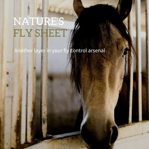 VSI Redmond Rock Crushed with Garlic Dry Horse Minerals & Vitamins Supplement 5 lb - Poudre Pet and Feed Supply