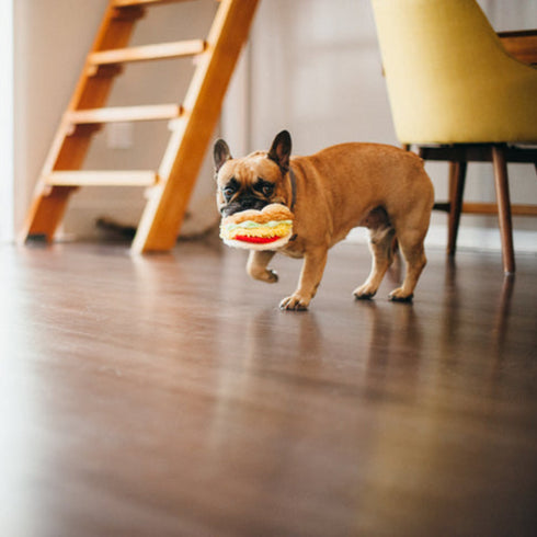 P.L.A.Y. Classic Taco Dog Toy