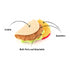 P.L.A.Y. Classic Taco Dog Toy