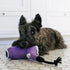 P.L.A.Y Splish Splash Howlin' Hair Dryer Dog Toy